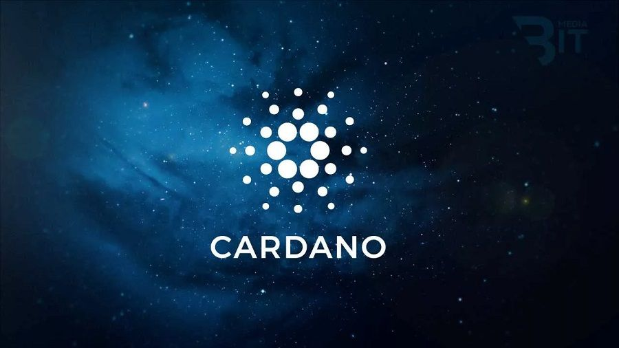 The number of addresses in the Cardano network exceeded 4.6 million