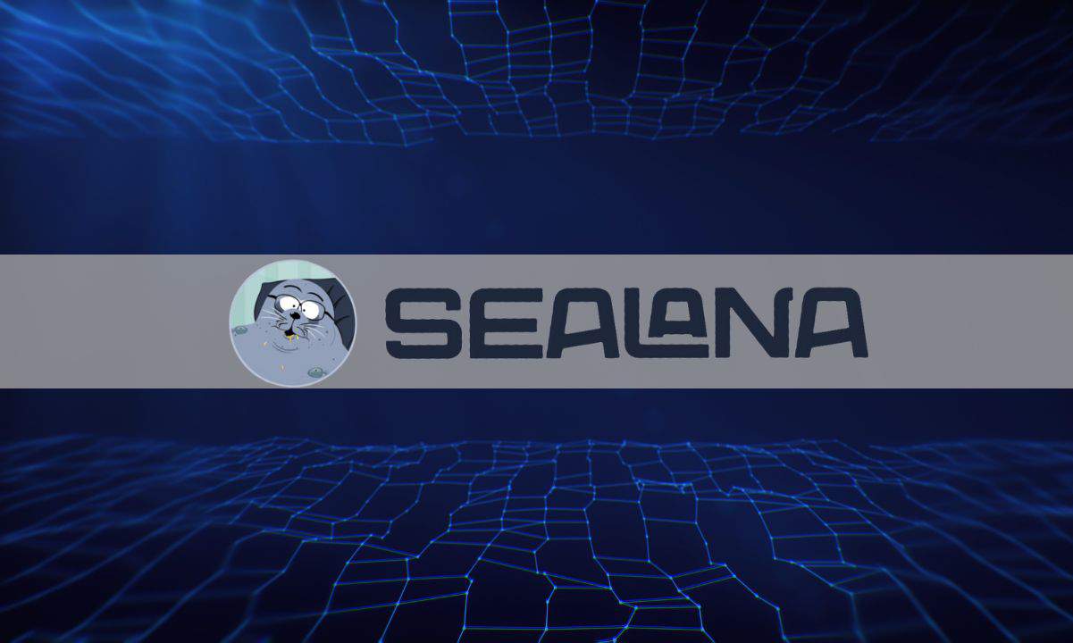 Bonk Price Continues to Fall, Traders Backing New Solana Meme Coin Alternative