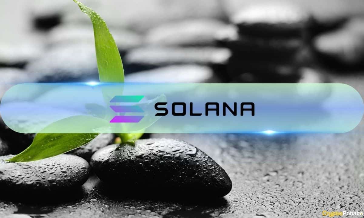Three Reasons Why Solana’s (SOL) Price Soared Past $160