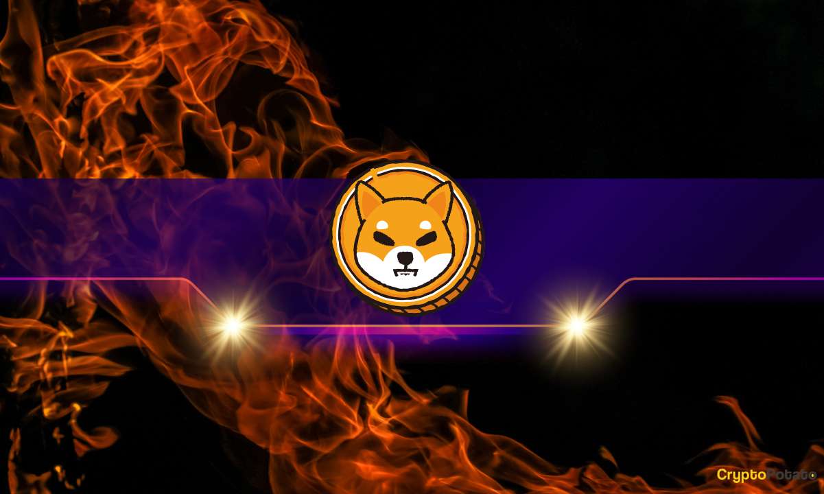 Shiba Inu (SHIB) Sees 60% Monthly Drop in Burn Rate: Reason to Worry?