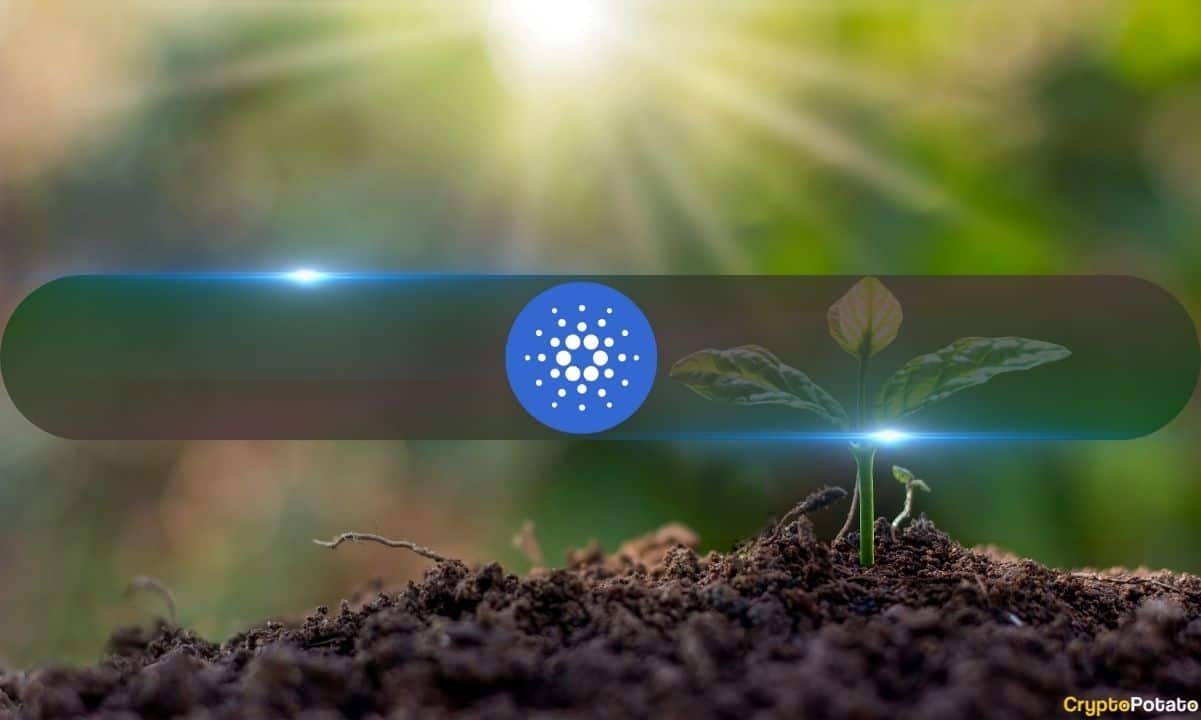 Could ADA Be 2024’s Solana (SOL) After Cardano Chang Upgrade?