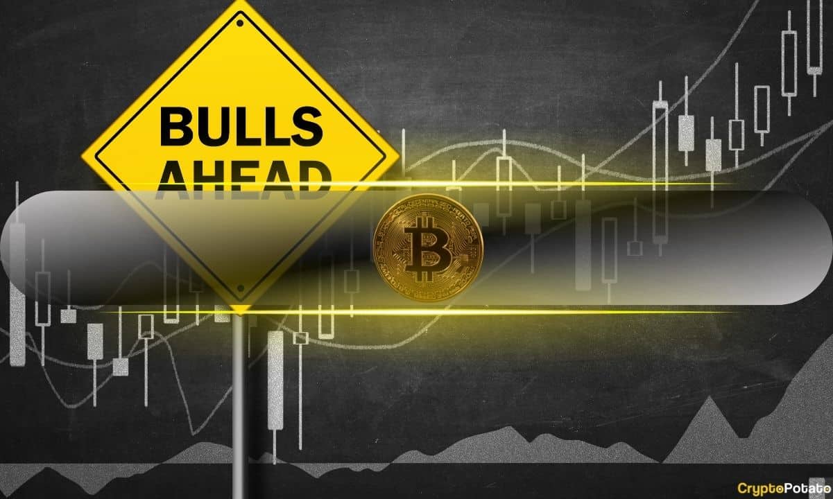 Bull Market Still Intact, Analysts and Traders Unfazed by the Bitcoin Price Dip