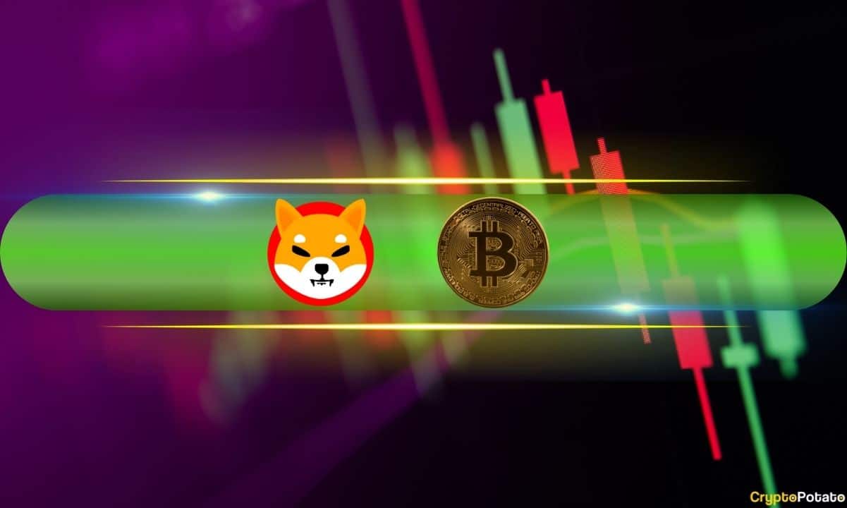 SHIB, PEPE Post Major Daily Gains, BTC Price Recovers From Sub-$63K Dip (Market Watch)