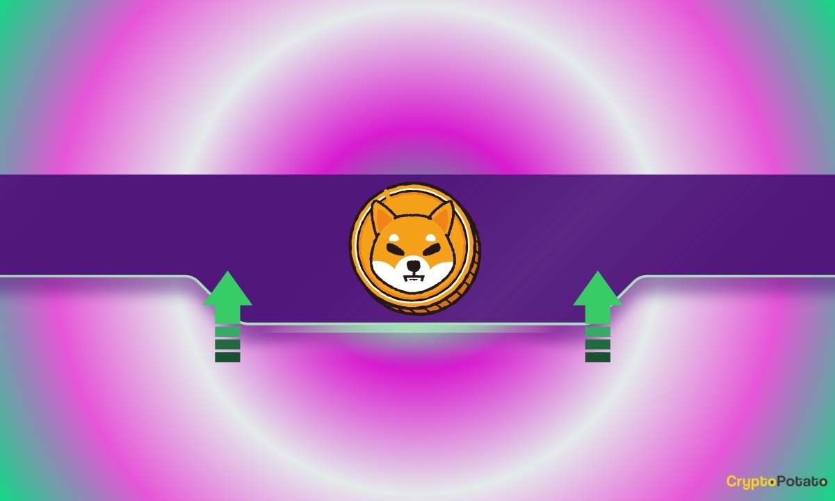 Shiba Inu (SHIB) Price Soars 4% Daily as Exchange Reserves Keep Declining