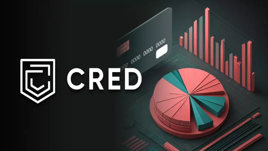 Руководители криптоплатформы Cred признали вину в мошенничестве