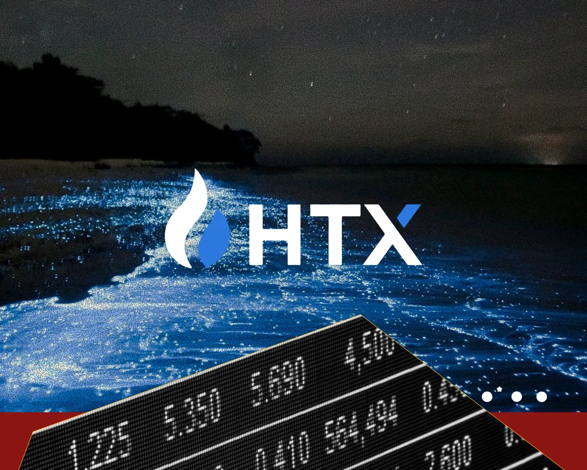 Связи с TRON и простая верификация: чем HTX привлекает пользователей в 2025 году