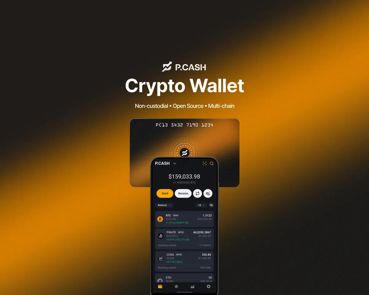 Фокус на приватности и поддержка Tangem: обзор кошелька P.CASH