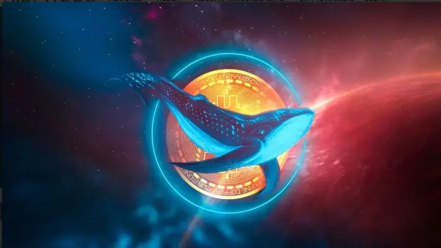 Локализуем движущую силу крипторынка: как определить накопления крупных игроков