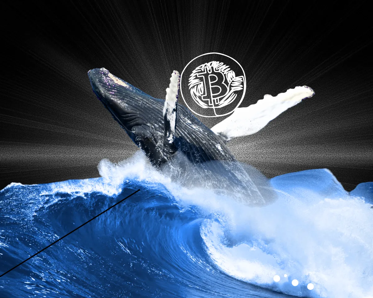 Биткоин-майнер времен Сатоши «проснулся» спустя 15 лет