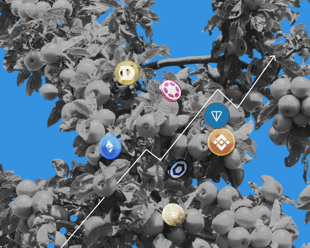 Аналитик: «скучный» рынок похоронил шансы на альтсезон