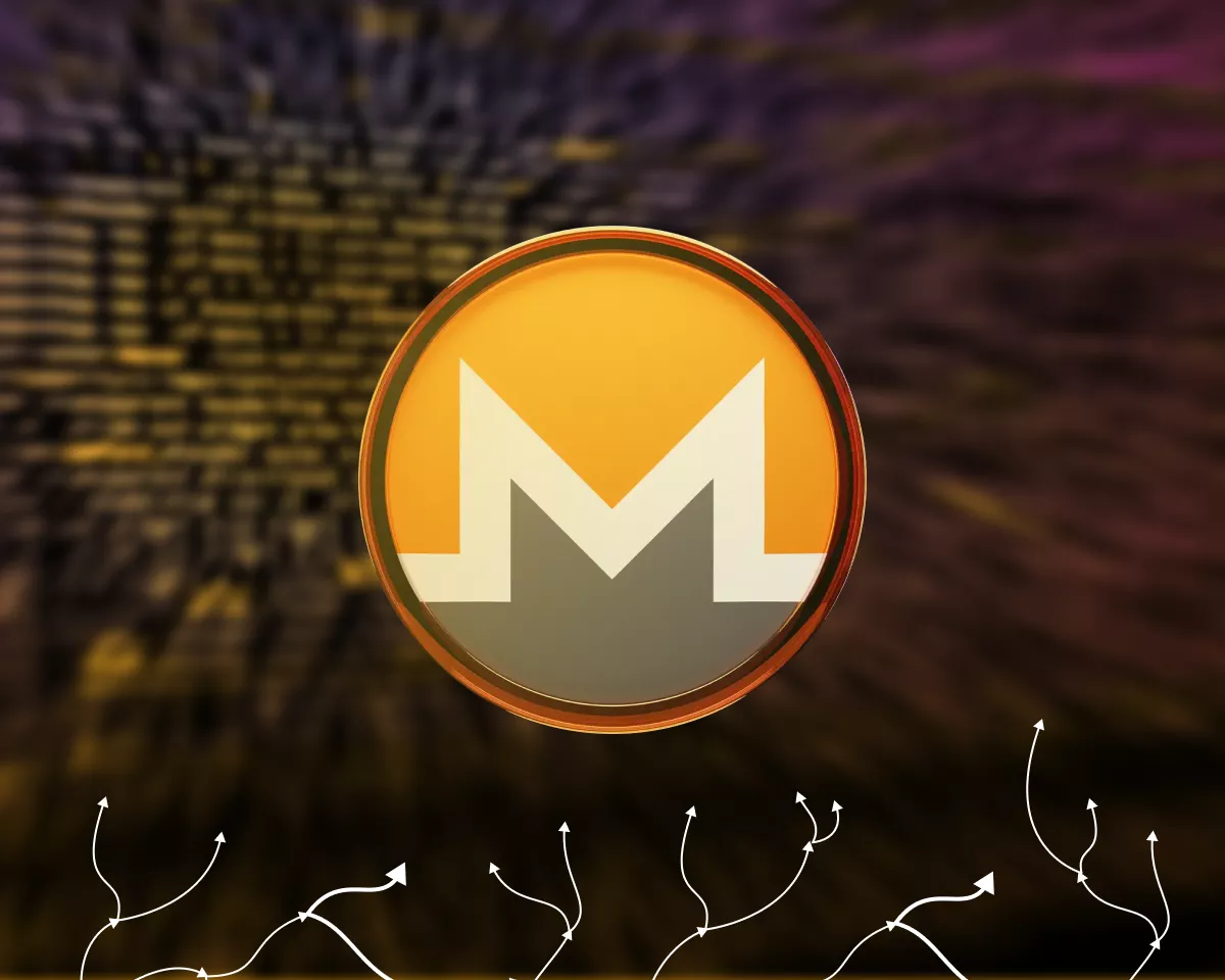 Monero вернула статус главной анонимной монеты после ухода команды Zcash