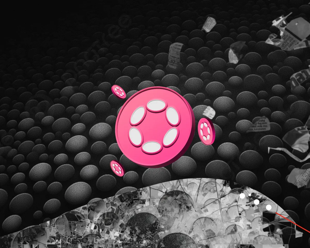 Polkadot впервые за три года получил квартальную прибыль