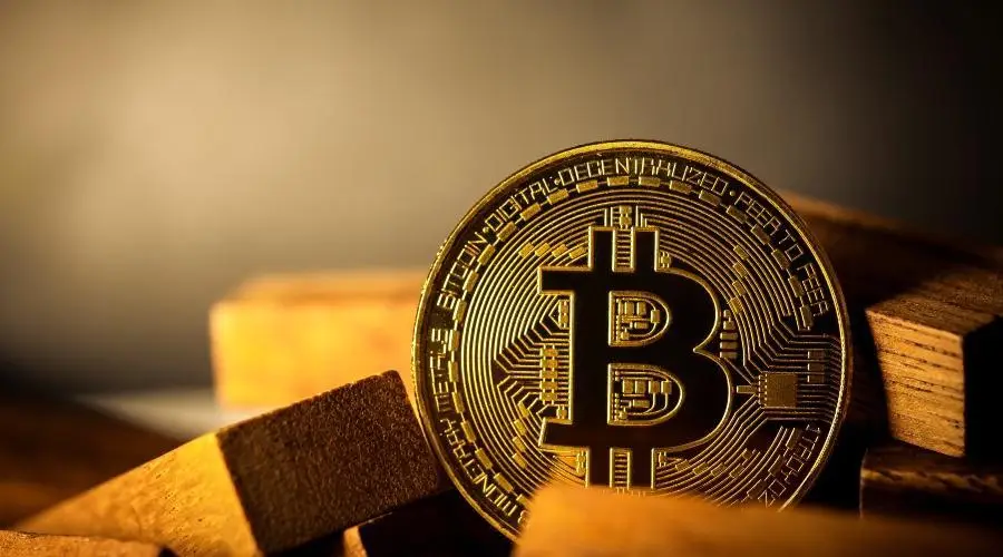 Глава инвесткомпании назвал волатильность биткоина «частью игры»