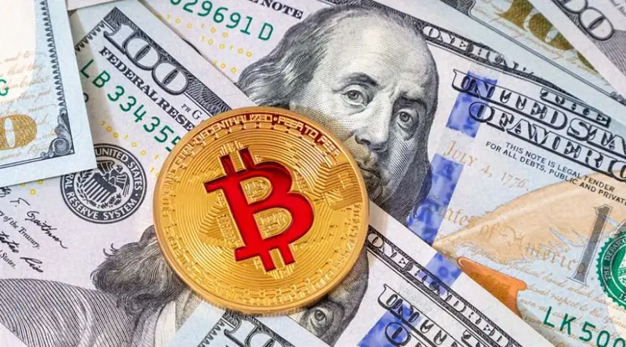 Bitcoin Policy Institute: Биткоин и долларовые стейблкоины образовали «симбиоз»