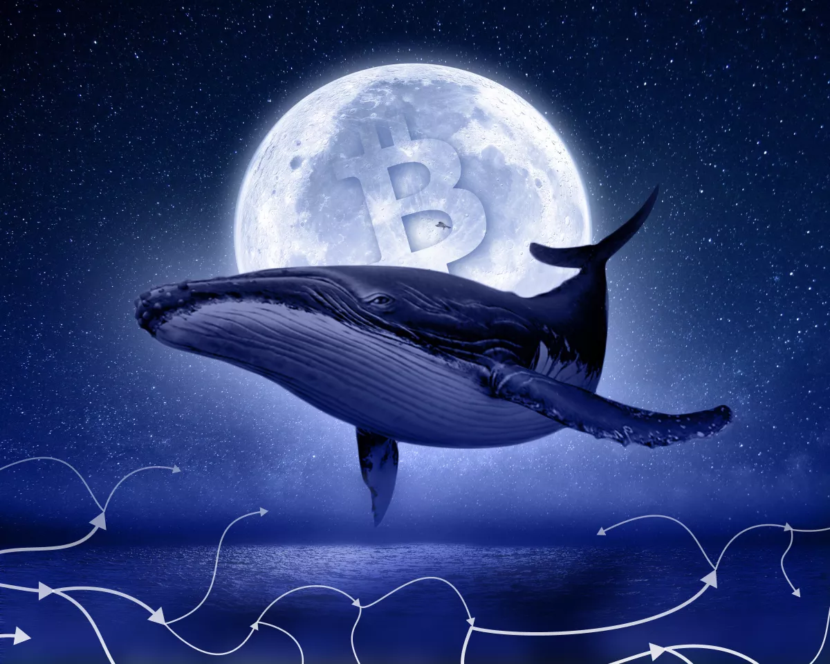 Биткоин протестировал уровень безубыточности краткосрочных китов