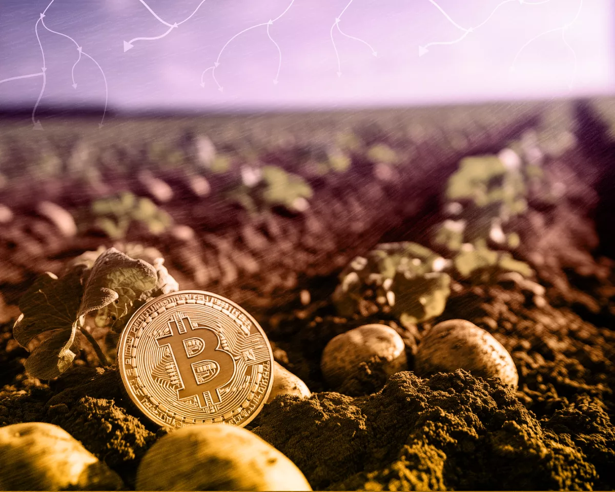 Майнер времен Сатоши перевел 2650 BTC на $203 млн